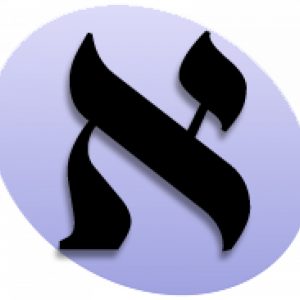 b5b56b2ae93d3dc958cf0c21c9383b18_XL