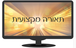 תאורה מקצועית ויריי