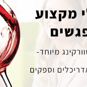 ערב נטוורקינג מיוחד