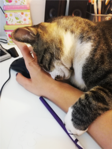 החתול של ענבלת