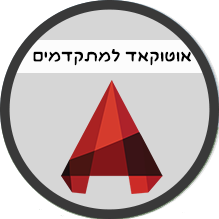 אוטוקאד למתקדמים