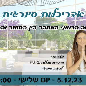 אדריכלות סינרגית