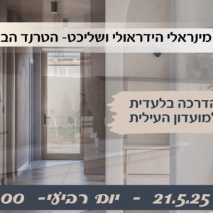 טיח מינראלי הידראולי ושליכט - הטרנד הבא