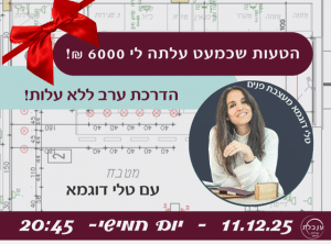 הטעות שכמעט עלתה לי 6000 שח טלי דוגמא אצל ענבלת